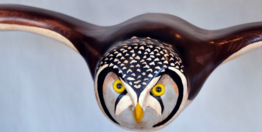 Owl in flight by Jim Harkness